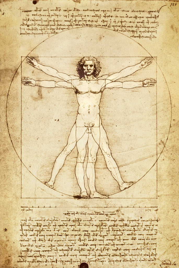 AP104 Da Vinci - Vitruvian Man, 24 x 36