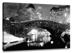 CNV223 - New York Central Park - Winter Scene, 16 x 20