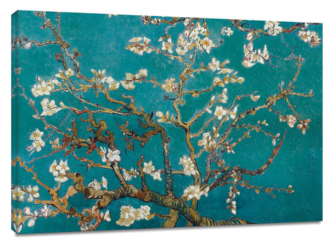 CNV229 - Van Gogh - Almond Blossom, 24 x 36
