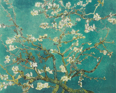 MP400 - Van Gogh - Almond Blossom, 16 x 20