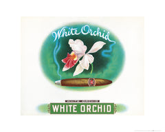 NY306 - White Orchid, 16 x 20