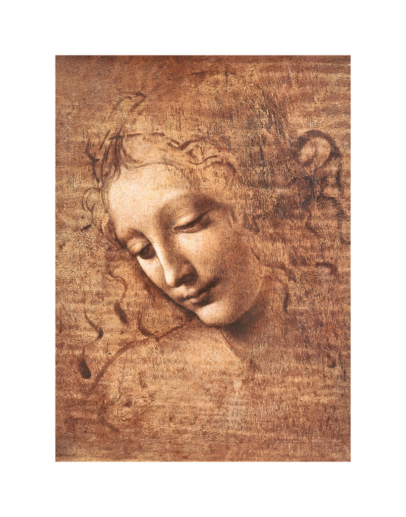 PD866 - Da Vinci - Female Head (La Scapigliata), 11 x 14