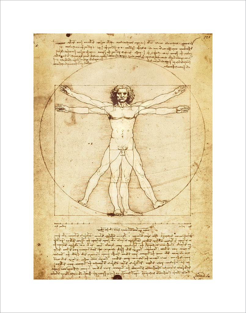 PD868 - Da Vinci - Vitruvian Man, 11 x 14