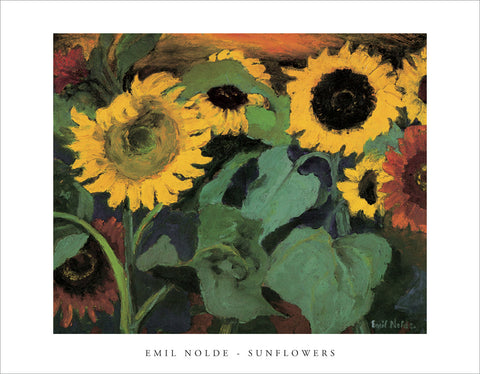 PN887 - Nolde, Sunflowers, 11 x 14