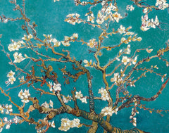 PV136 - Van Gogh, Almond Blossom, 11 x 14
