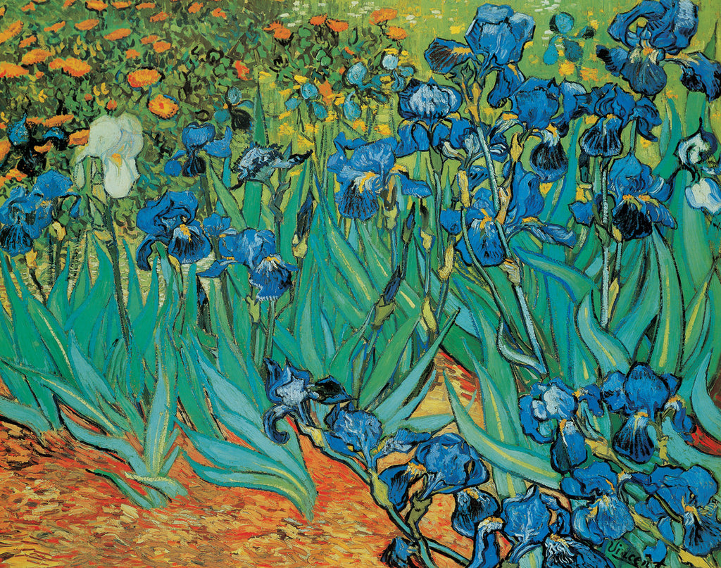 PV838 - Van Gogh,  Garden of Irises, 11 x 14
