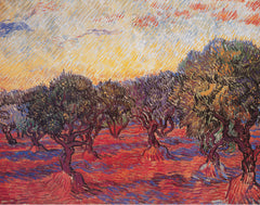 V332 - Van Gogh - Olive Grove, 22 x 28